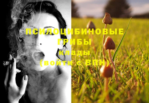 прущая мука Богданович
