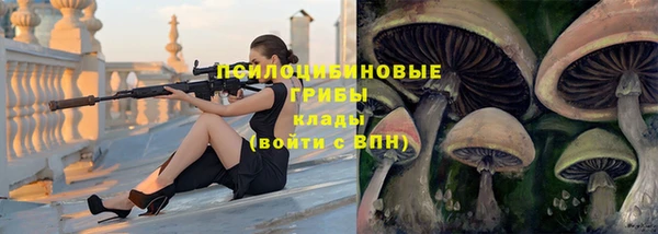 индика Белоозёрский