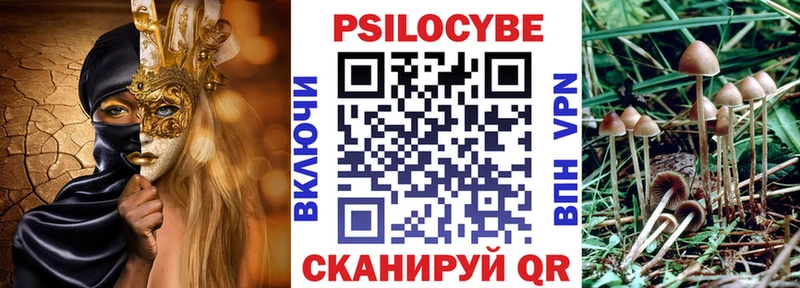 Галлюциногенные грибы мицелий  Купить закладки  Правдинск 